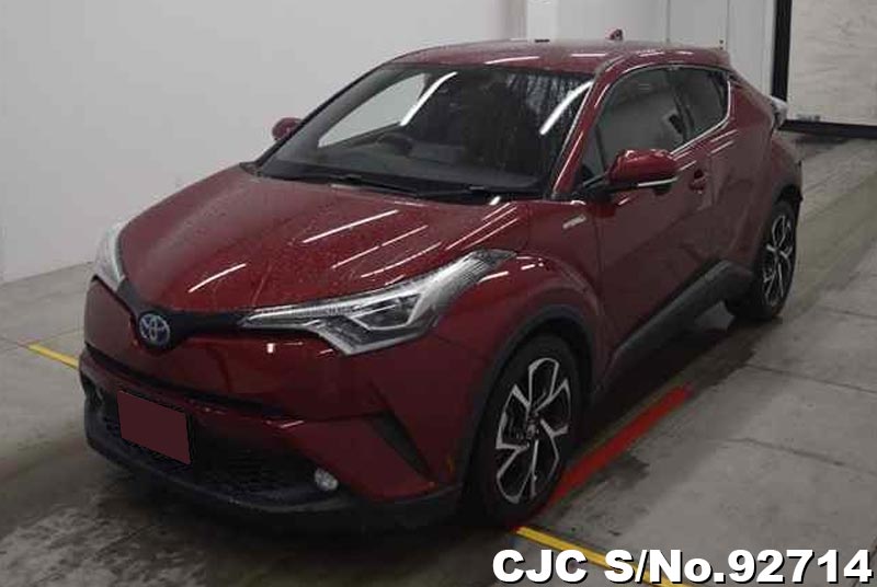Toyota C-HR in Wine for Sale Image 3